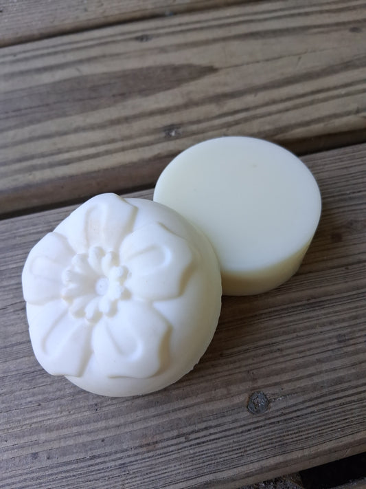 Shampoo & Conditioner Bar Set
